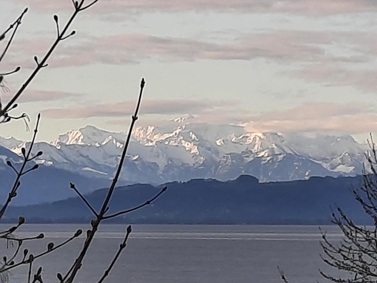 Apartment Bodensee Kressbronn 